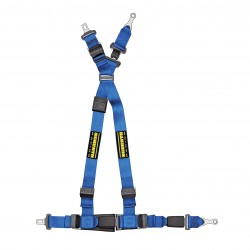 Schroth QuickFit Belt for Ford Mustang G6 2018+