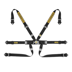 Sabelt SILVER FORMULA RALLY 2" 6pt Pull-Up Harness