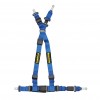 Schroth Quick Fit Harness for Ford Mustang Schroth Quick Fit Harness for Ford Mustang