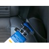 Schroth Quick Fit Harness for Ford Mustang Schroth Quick Fit Harness for Ford Mustang