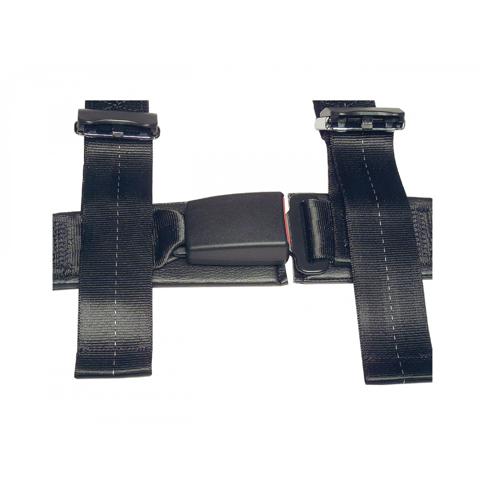 Schroth Rallye 3 DOT Legal Harness