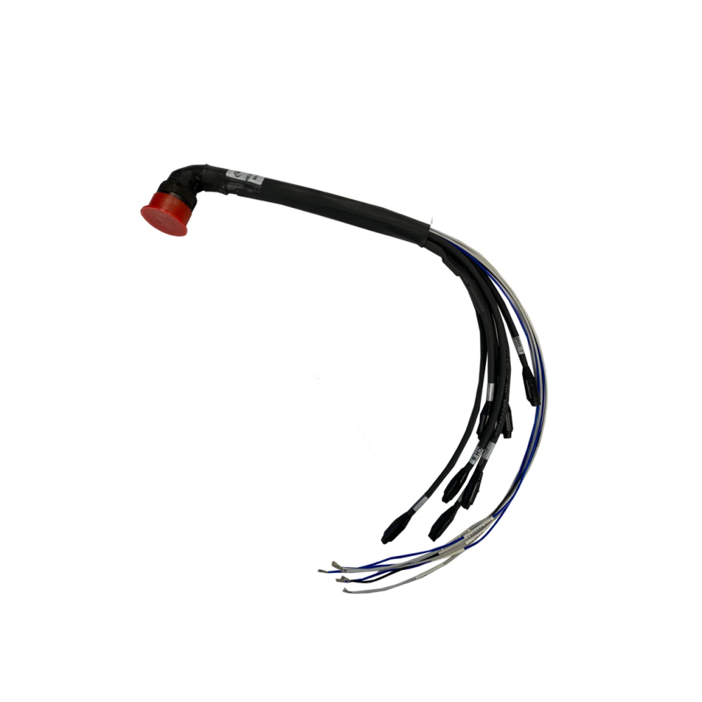 AiM Auxilary Harness for MXL2/MXG/MXS - 22 Pin Connector