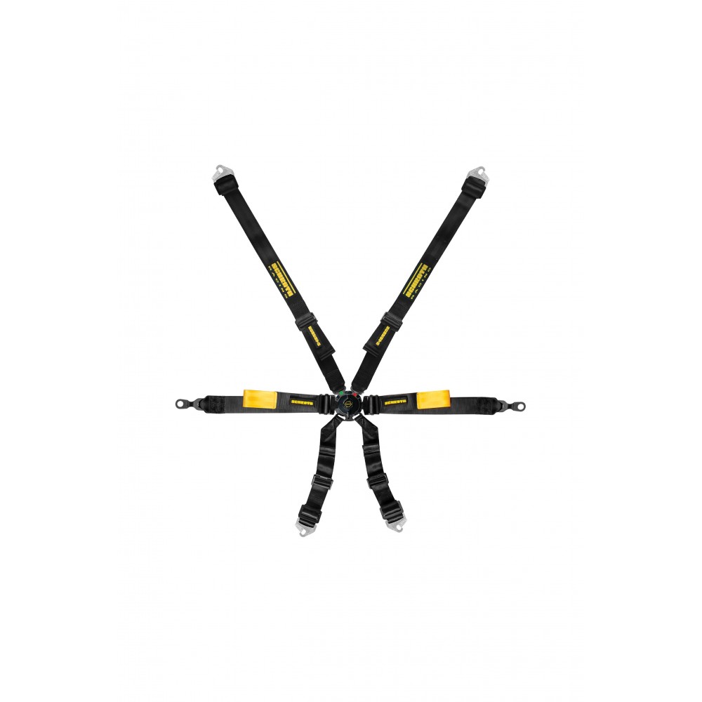 Schroth GT3 996/996 Enduro 2x2 6pt (2027 FIA DATE)