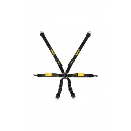 Schroth GT3 996/996 Enduro 2x2 6pt (2027 FIA DATE)