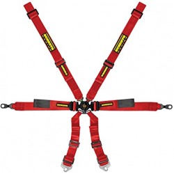 Schroth GT3 996/996 Enduro 2x2 6pt (2025 FIA DATE)