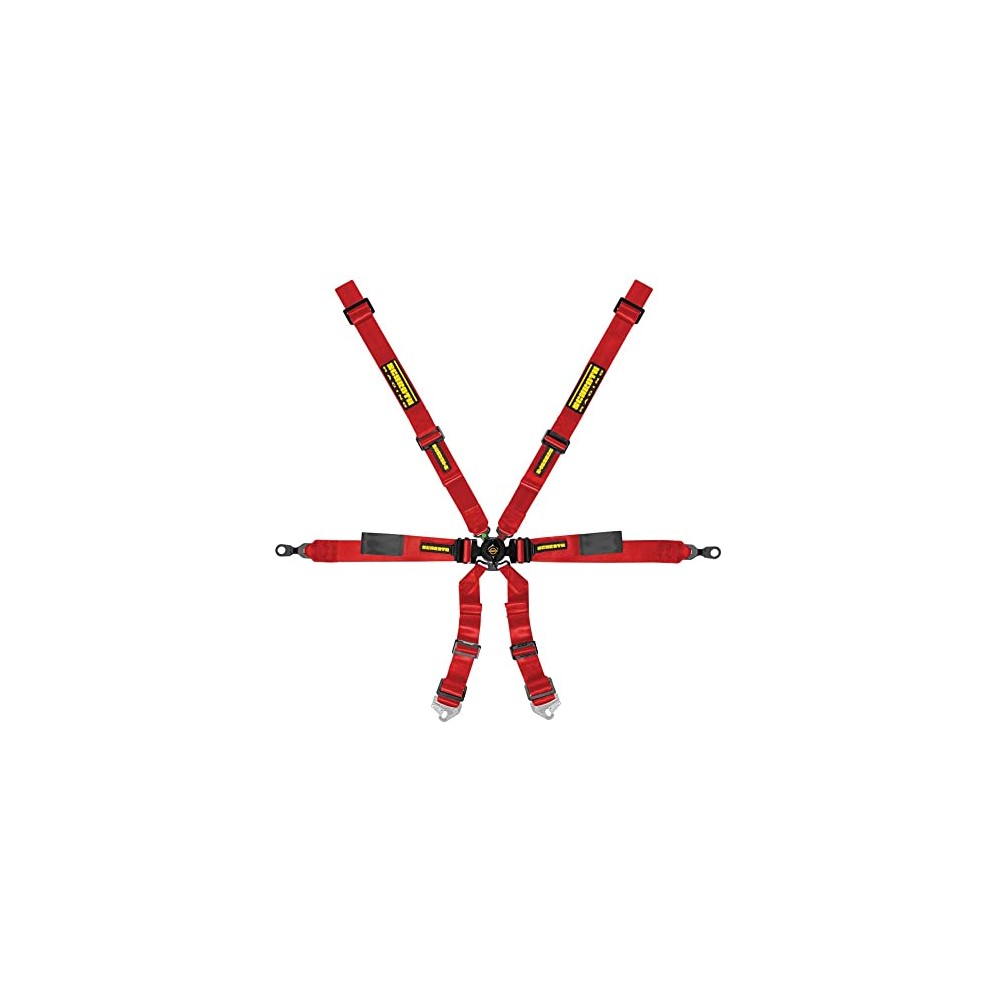 Schroth GT3 996/996 Enduro 2x2 6pt (2025 FIA DATE)