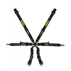 Schroth Harnesses - GT3 Profi 2x2 6pt (2027 FIA DATE)