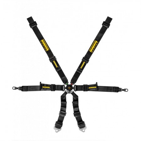 Schroth Harnesses - GT3 Profi 2x2 6pt (2027 FIA DATE)