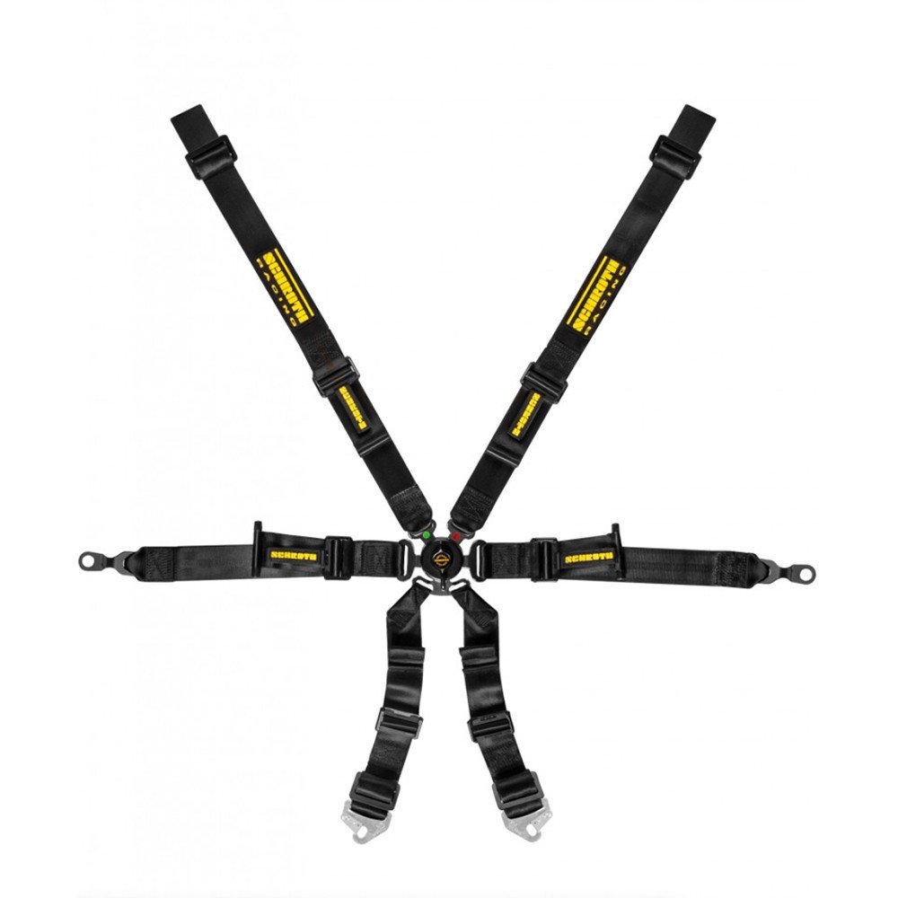 Schroth Harnesses - GT3 Profi 2x2 6pt (2026 FIA DATE)