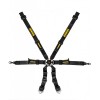 Schroth Harnesses - GT3 Profi 2x2 6pt (2026 FIA DATE)
