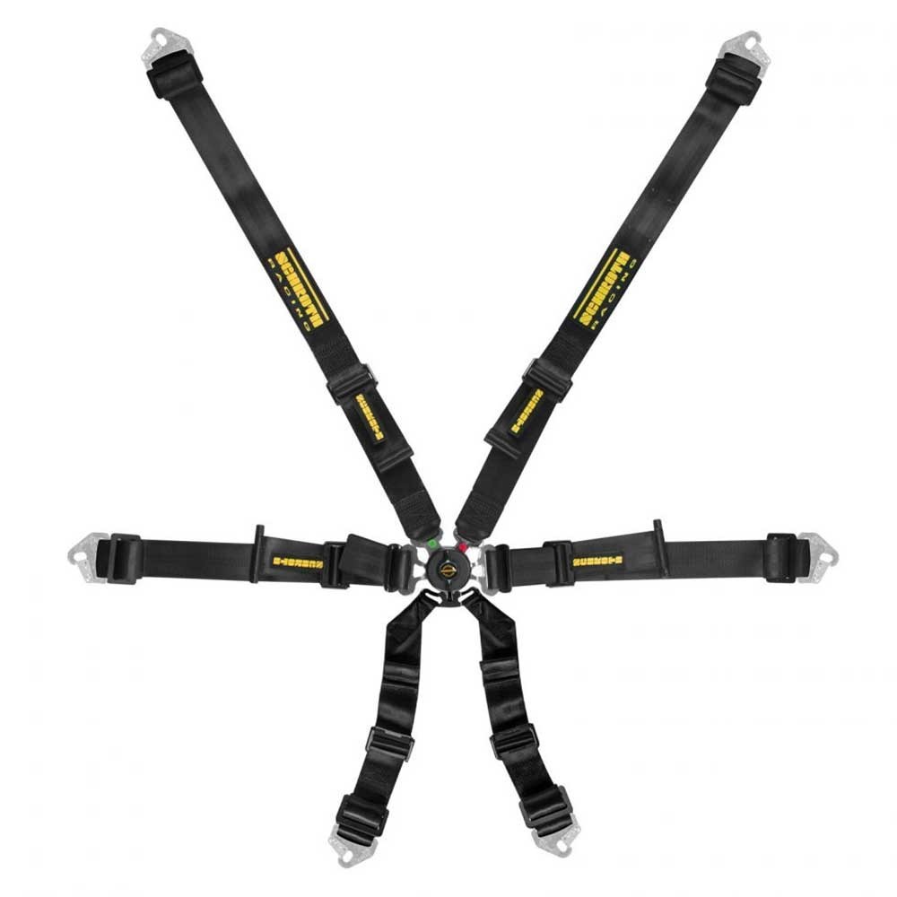 Schroth Harness - Flexi 2x2 6pt (2026 FIA DATE)
