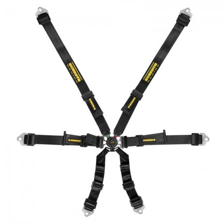 Schroth Harness - Flexi 2x2 6pt (2026 FIA DATE)