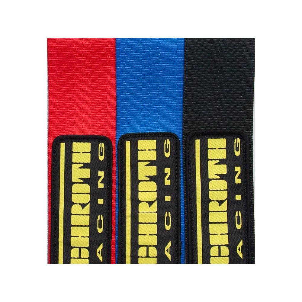 Schroth Harness - Flexi 2x2 6pt (2026 FIA DATE)