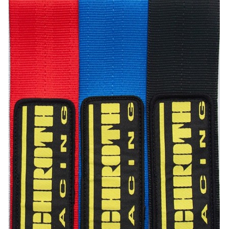 Schroth Harness - Flexi 2x2 6pt (2026 FIA DATE)