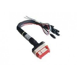 AiM MX 1.3 Strada 23 Pin Harness