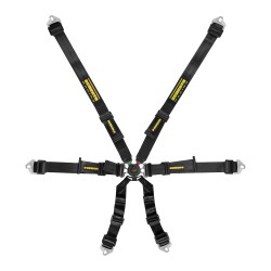 Schroth Harness - Flexi 2x2 6-Point Belt - 2in Lap Snap, Adj. Sub Snap - FIA8853-2016