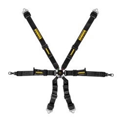 Schroth Harnesses - GT3 Profi 2x2 6-Point Belts - 2in - FIA8853-2016