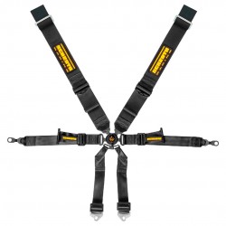 Schroth Harnesses - GT3 996/7 Profi Flexi 3x2 6-Point Belts - 2in Lap BoltIn, Sub Snap - FIA8853-2016