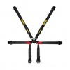 Schroth Harnesses - Formula 2x2 6-Point Belts - 2in Lap, No Adjustable Sub, All Bolt-in - FIA8853-2016