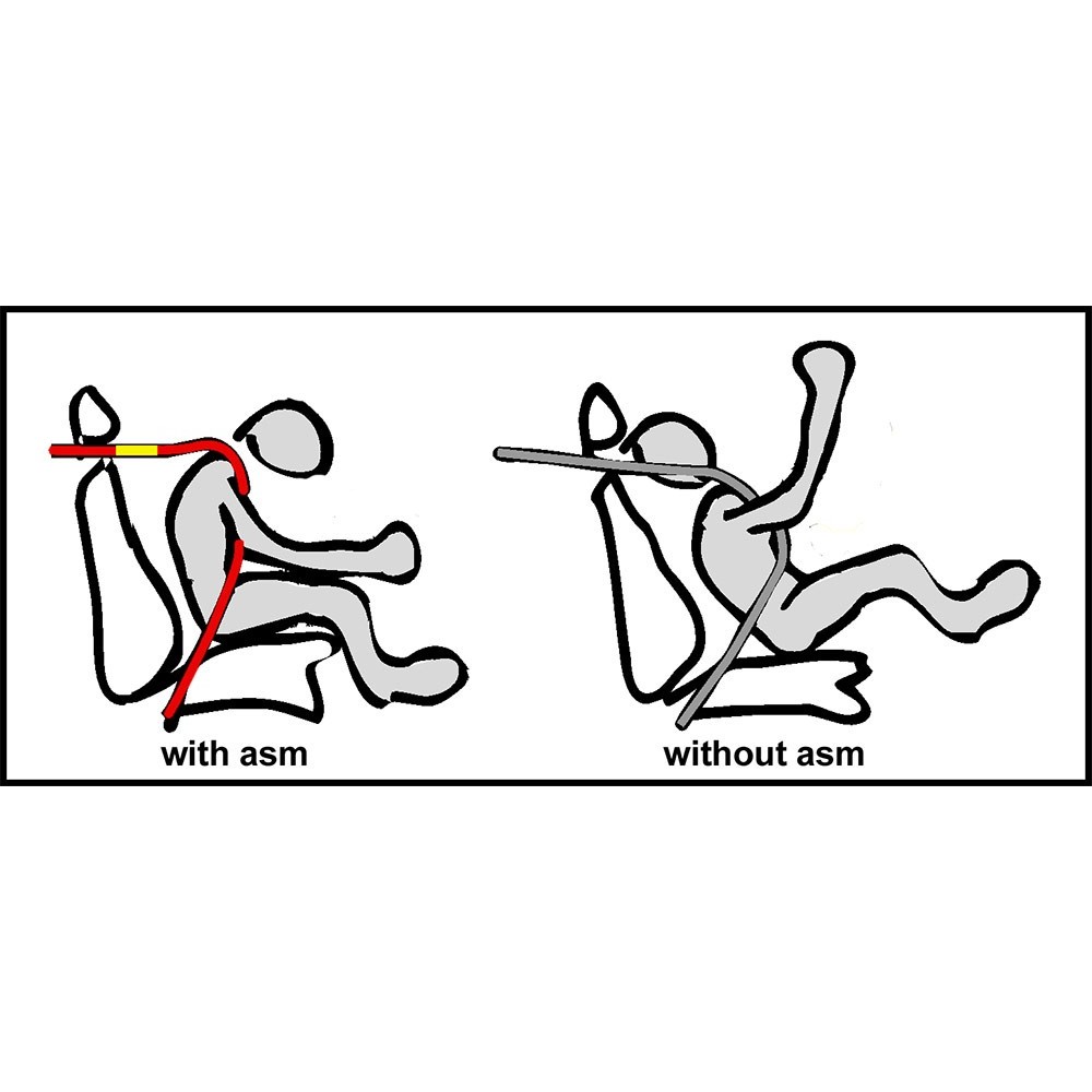 Schroth Profi II 4-Point ASM RFR Camlock Harness with 2" Flexi Snap-On Lap Belt