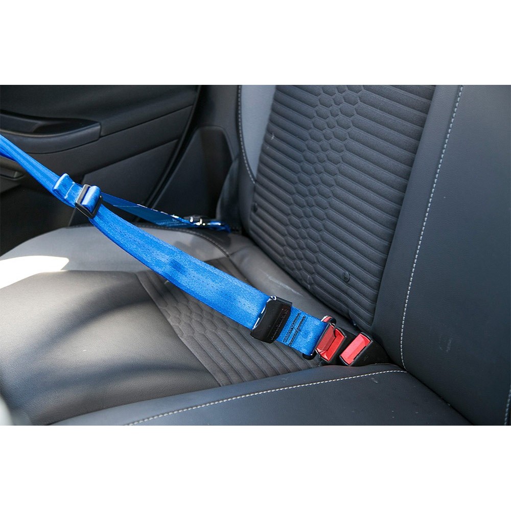 Schroth Harness Quick Fit Pro 4-Point Belt