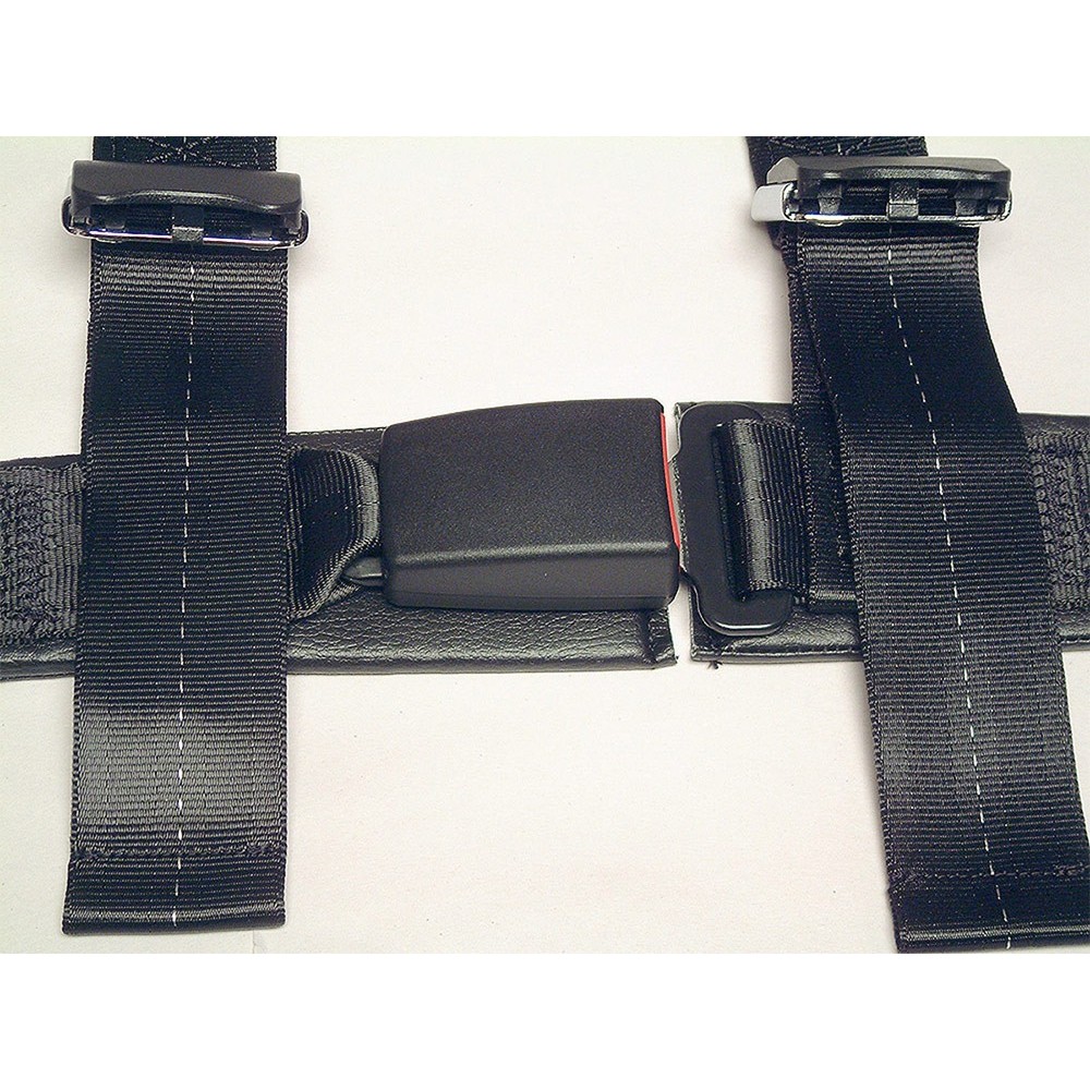Schroth Rallye Cross Harness 4-Point Belt