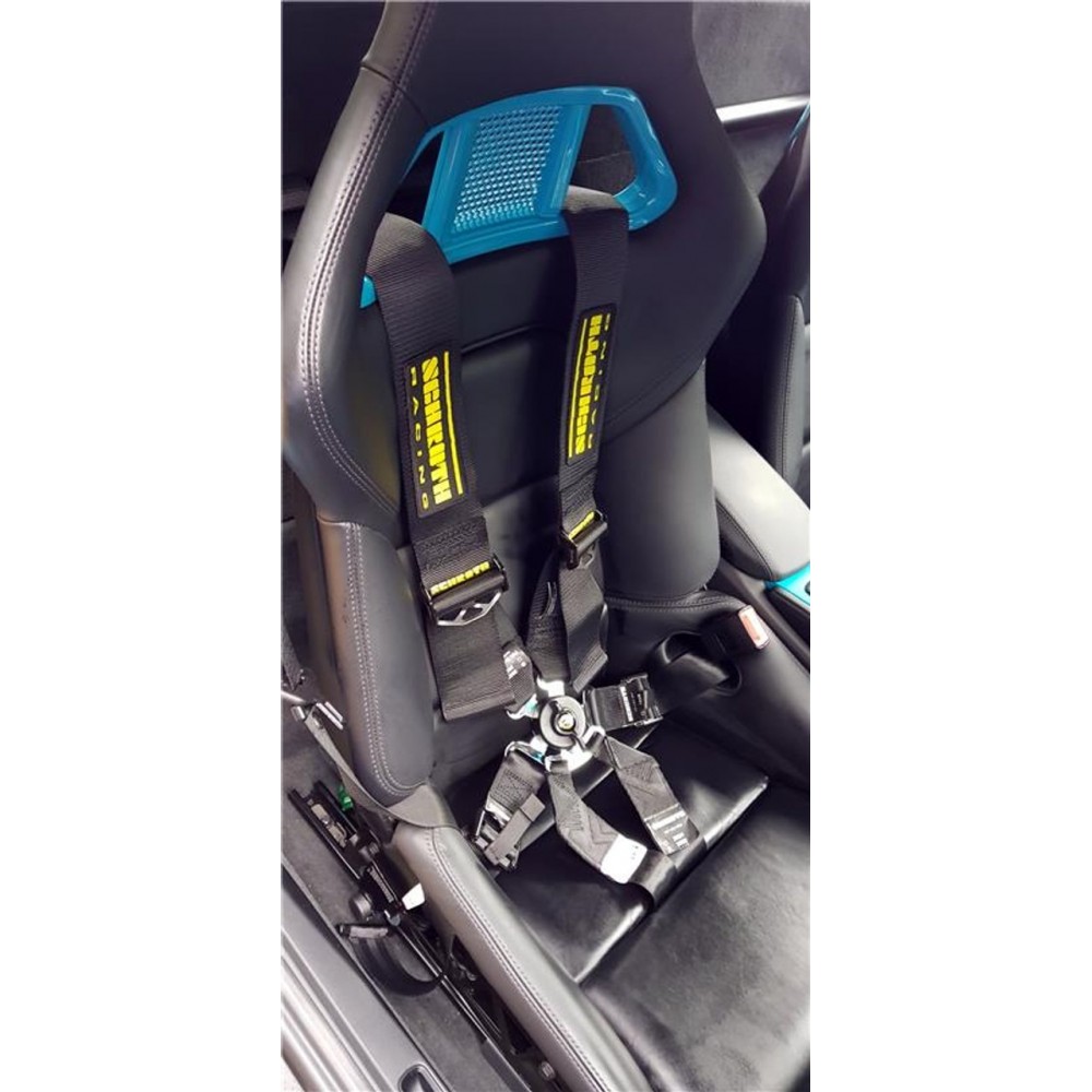 RSS 950/30 981 Cayman/GT4-RS/718 Light Weight Series 2pt. Harness Bar