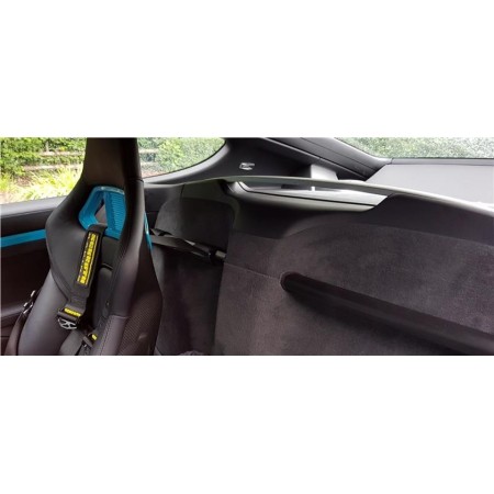RSS 950/30 981 Cayman/GT4-RS/718 Light Weight Series 2pt. Harness Bar