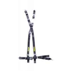 Schroth Quickfit Belt for BMW E82-892